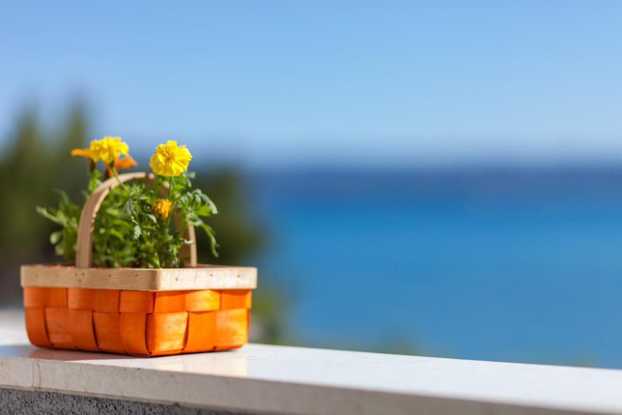 Apartman J & K Ποντστράνα Εξωτερικό φωτογραφία